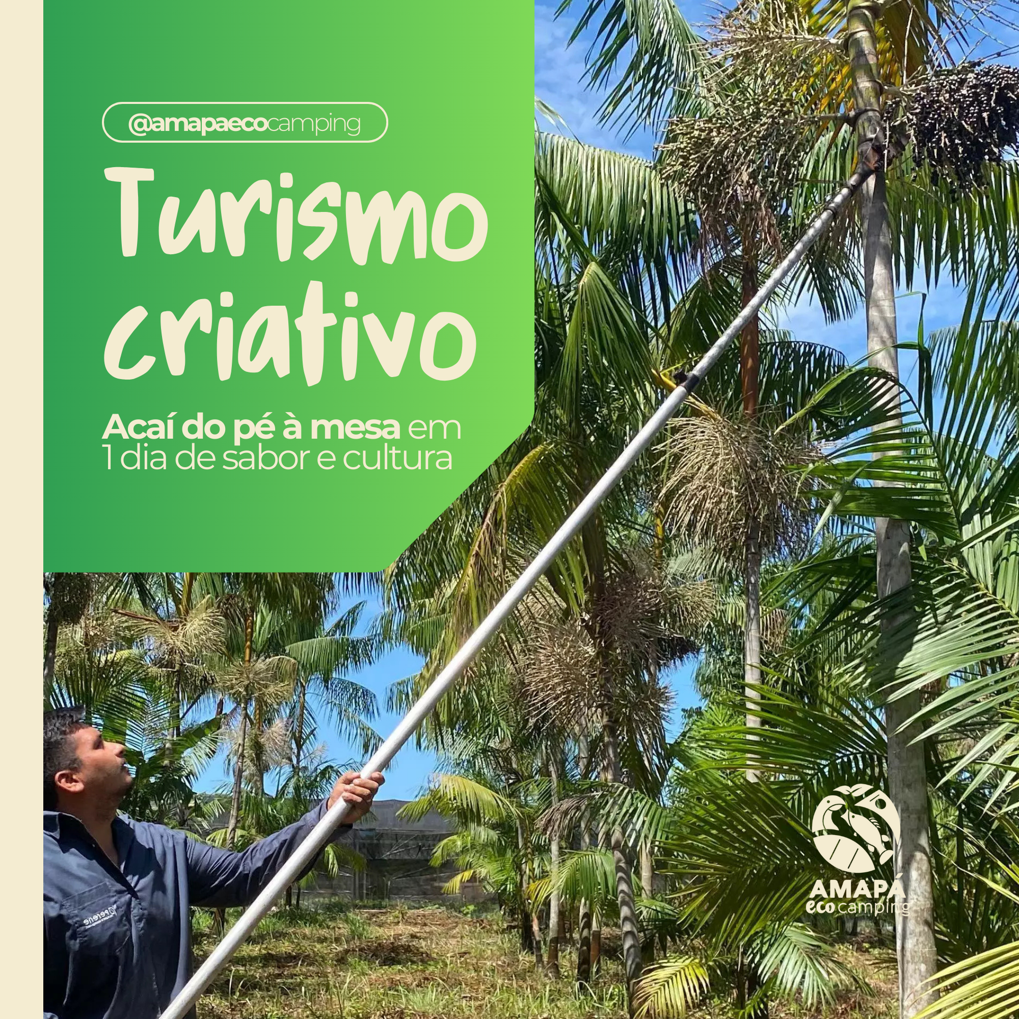 Turismo Criativo na Amazônia. Seja introduzido em uma autêntica experiência amazônica. O Açaí, icone da região.