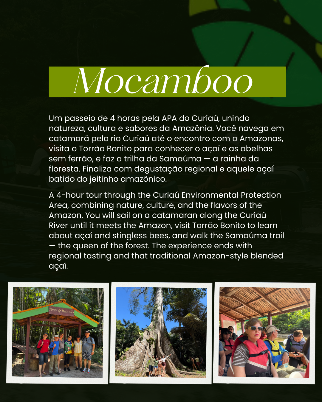 Turismo ecológico em Macapá, capital do Amapá.