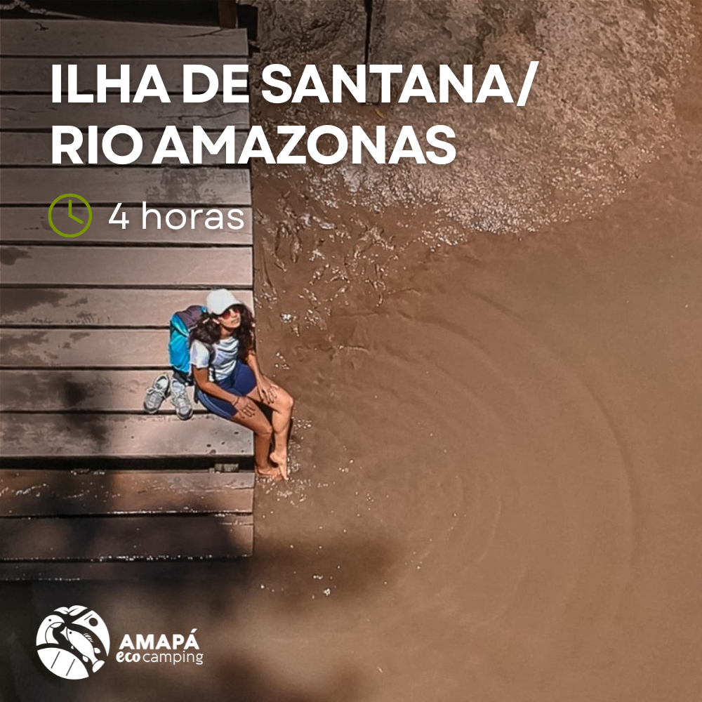 Trilha ecológica na floresta de várzea, apreciação das gigantes árvores samaúmas e o Rio Amazonas em uma experiência inesquecível.