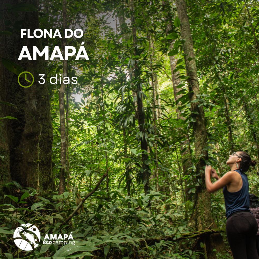Floresta Nacional do Amapá.