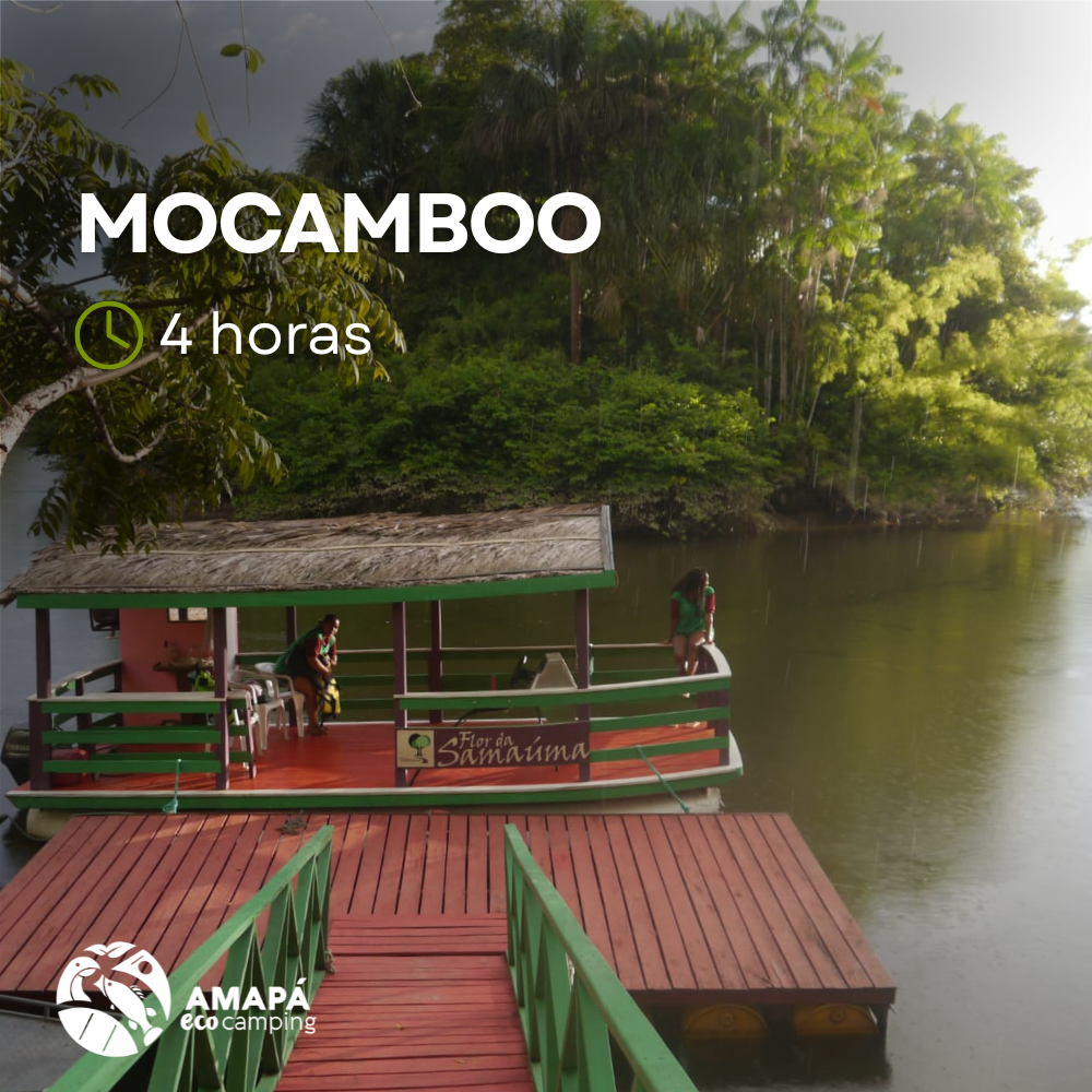Sabores, tradições e natureza reunidos em uma experiência que revela a verdadeira Amazônia.