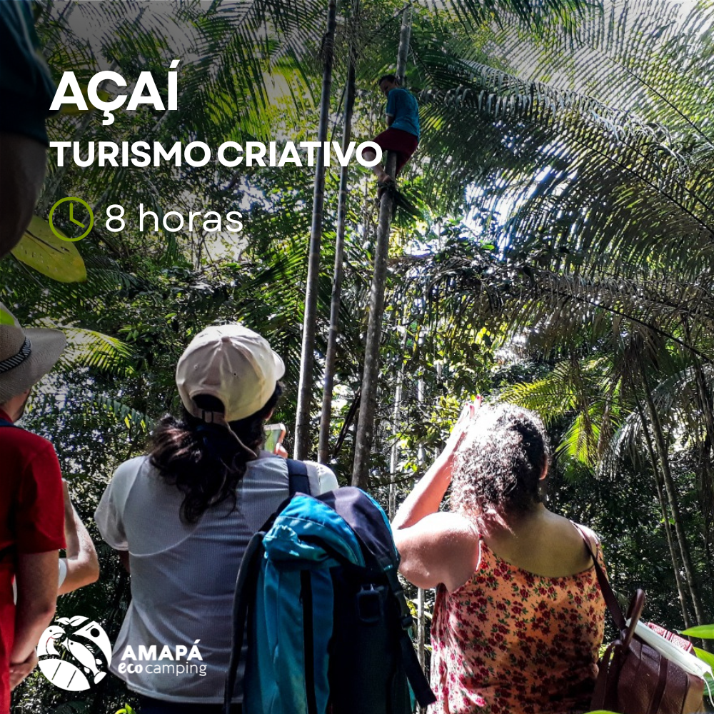 Experiência de Turismo Criativo do Açaí